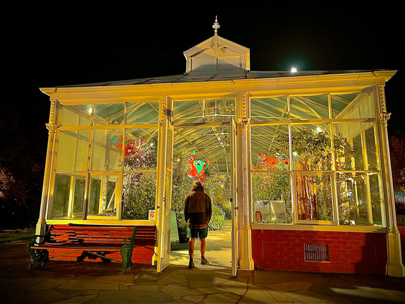 Green House Green House is the place where different types of plants are grown.