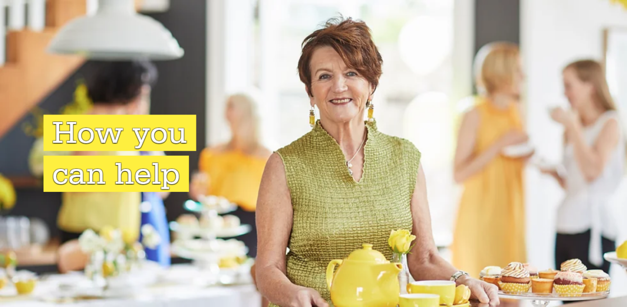 Support Us Endometriosis Australia