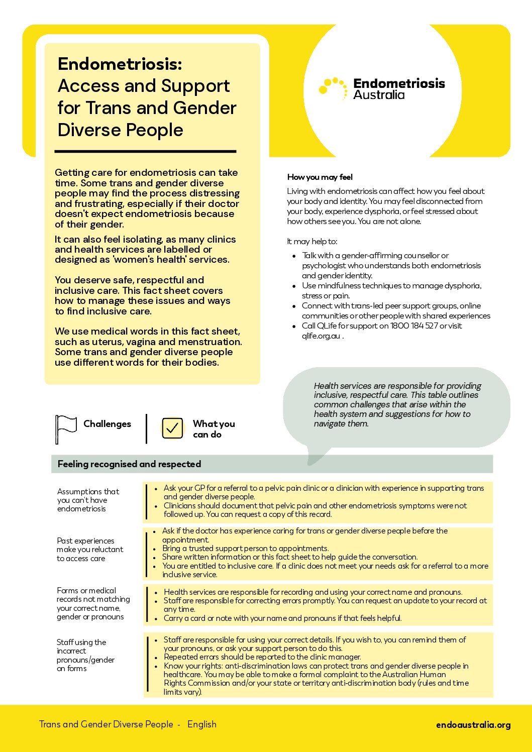 Factsheet - Gender diverse Support 27052026 Endometriosis in the workplace