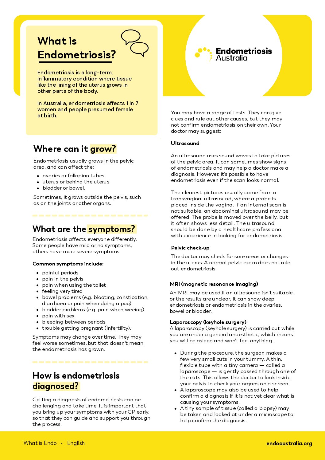Factsheet - What is Endo Revised 300626